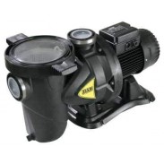 Bơm EUROSWIM 300 T (3 Pha): 3 HP - Q = 42 m3/h; H = 22.0 m